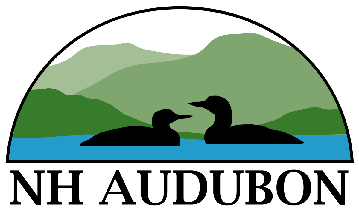NH Audubon logo