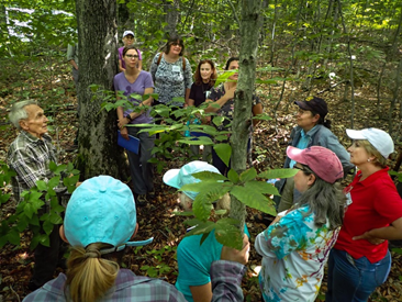 teachers in the forest learning how to id trees